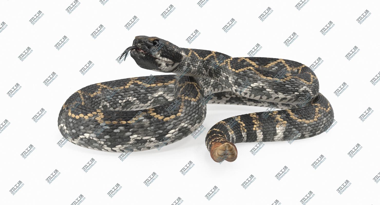 images/goods_img/2021040163/Dark Rattlesnake 3D Model 3D model/3.jpg